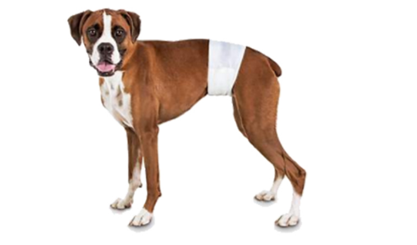 1652671833435256.png image.png