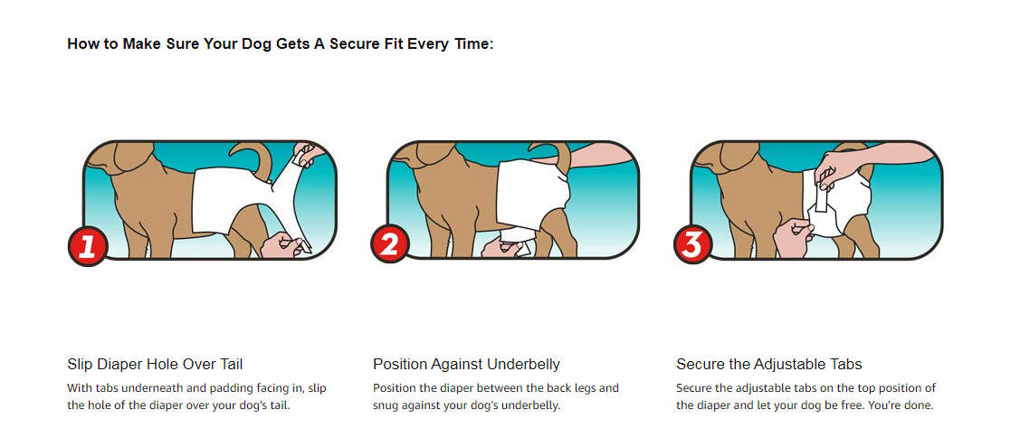 1652671987317400.png image.png