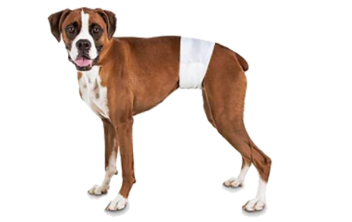 1652679672343957.png image.png