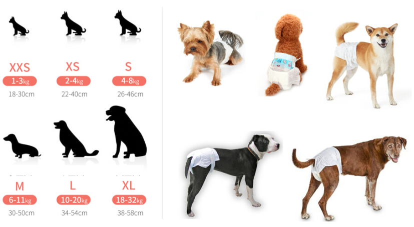 1652681149169637.png image.png